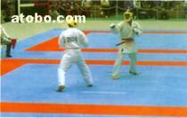 【跆拳道垫】_跆拳道垫价格_跆拳道垫图片_跆拳道垫批发_跆拳道垫厂家 - 产品库 - 阿土伯交易网