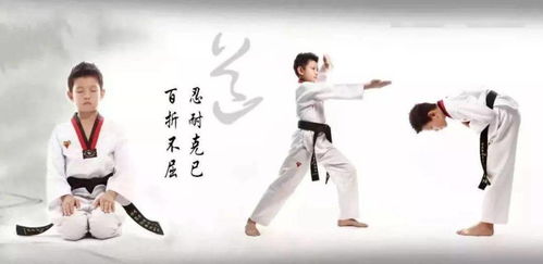 1元抢乐武跆拳道精品体验课2节 让孩子成功蜕变,强身健体更懂礼 适合3岁半 16岁少儿