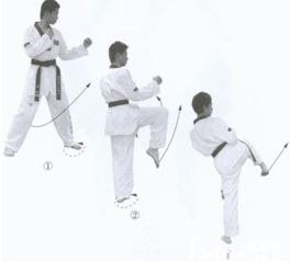 跆拳道基本功图片