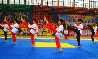 振威跆拳道常年招生 现春季免费体验一个月精品课程