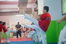 速抢 郭健精英跆拳道馆11周年庆,精品体验课等你来拿