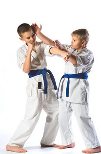 图片免费下载 黑带素材 黑带模板 千图网