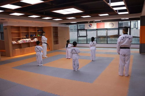 感冒君,你快走 28元4节精品课 高捷跆拳道带你强身健体启智知礼