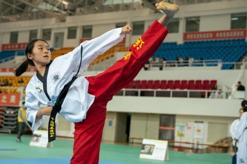 多图丨广佛跆拳道挑战赛暨高明区第二届跆拳道锦标赛圆满结束