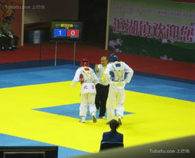 跆拳道地垫 安全训练的基础设施