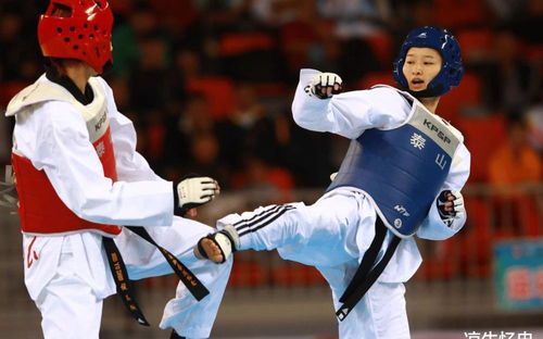 跆拳道冠军的悲剧 十年苦练为何难敌暴力之殇