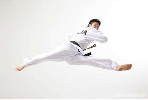 武术散打与竞技跆拳道的比较分析