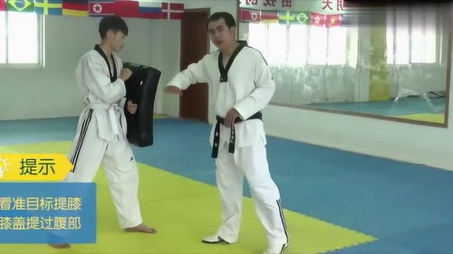 跆拳道后腿横踢教学 世界冠军示范动作详解