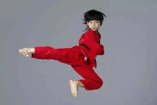 龙拳小子林秋楠带跆拳道高手拜会梦幻太极，风云际会梦幻谷