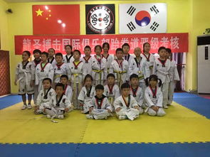 北京市专业青少跆拳道培训中心 龙圣搏击俱乐部