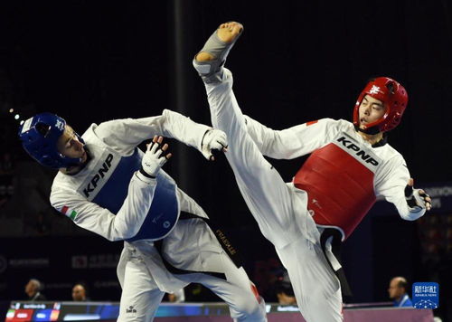 跆拳道世锦赛在巴库盛大开幕，全球高手齐聚竞技舞台