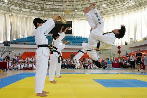 2024年海信杯第四届中韩跆拳道公开赛圆满举行，弘扬武道精神