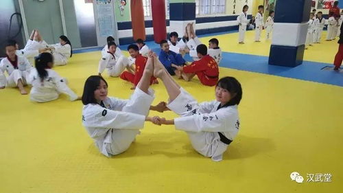 让谣言粉碎吧 跆拳道并不影响身高