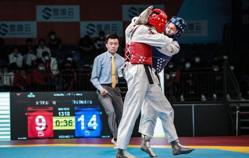 全国跆拳道冠军总决赛落幕，新星辈出彰显武道精神