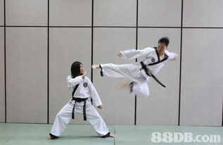 香港跆拳道及合气道协会 专业武道培训全方位服务