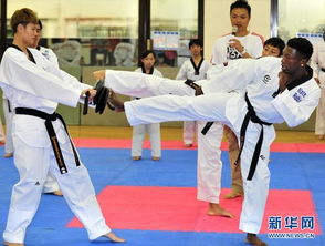 小土豆现身台北跆拳道馆，一展身手彰显跆拳道精神