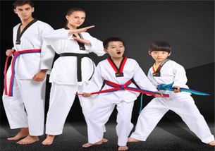 奥龙跆拳道加盟指南 费用、条件与官方联系渠道解析