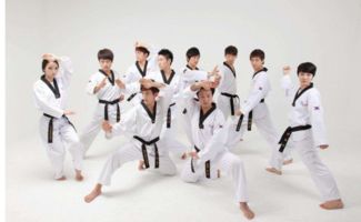 跆拳道白带晋升白黄带考级指南 从入门到进阶的第一步