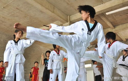 跆拳道实战效果探析 与泰拳、空手道、自由搏击的比较与定位