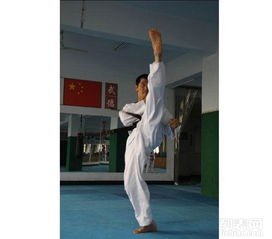 郑州跆拳道专业学校分享 青少年练习跆拳道的多重益处